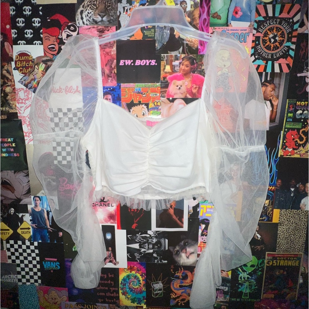 Sugar Thrillz (DollsKill) Crop